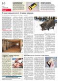 newspaper
