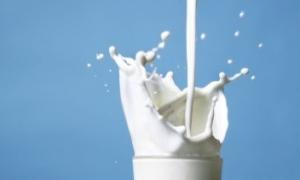Закупівельні ціни на молоко зростатимуть на 5% щомісяця